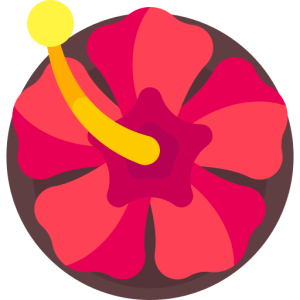 IELTS Practice Test, Reading Passage: Hibiscus