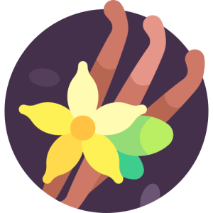 IELTS Practice Test, Reading Passage: Vanilla Beans