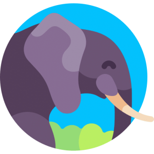 TOEFL Writing Integrated Task Practice Test - Elephants