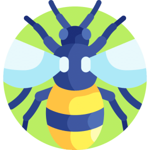 TOEFL Writing Integrated Task Practice Test - Bees