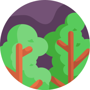 TOEFL Writing Integrated Task Practice Test - Endangered Trees