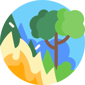 TOEFL Writing Integrated Task Practice Test - Forest Fires