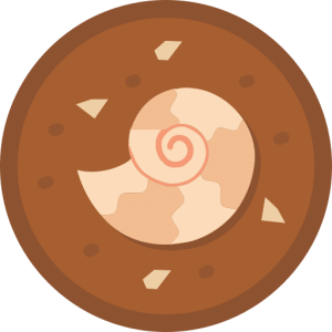 TOEFL Writing Integrated Task Practice Test - Fossils