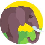 TOEFL Practice Tests