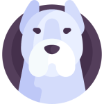 Complete List of TOEFL Reading Practice Tests