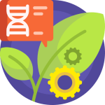 TOEFL Academic Discussion Writing (Task 2) Practice Test #014: Ethical Landscape of Genetic Engineering