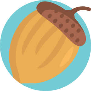 SAT Exam English Guide