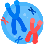 TOEFL Reading Practice Test #26 - The Debate over Spontaneous Generation