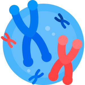 TOEFL Reading Practice Test #26 - The Debate over Spontaneous Generation