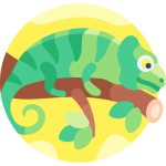 TOEFL Reading Practice Test With Quizzes and Answer - The Role of Camouflage in Animal Survival