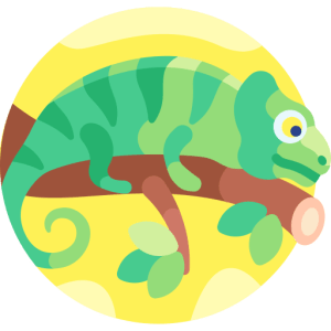 TOEFL Reading Practice Test With Quizzes and Answer - The Role of Camouflage in Animal Survival