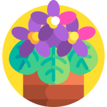 TOEFL Reading Practice Test #32 - The Mystery of Flowering Plant Evolution