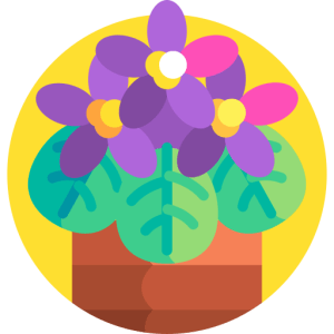 TOEFL Reading Practice Test #32 - The Mystery of Flowering Plant Evolution