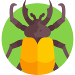 TOEFL Speaking Task 3 Practice Test #1