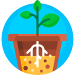 TOEFL Speaking Task 3 Practice Test #2