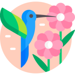 TOEFL Speaking Task 3 Practice Test #21