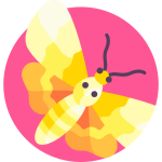 TOEFL Speaking Task 3 Practice Test #26