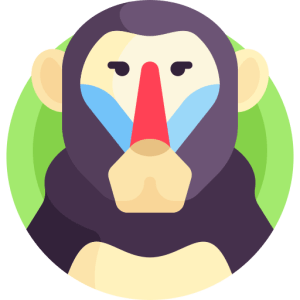 TOEFL Speaking Task 4 Practice Test #8