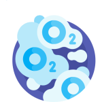 TOEFL Reading Practice Test #36 - Elements of Life