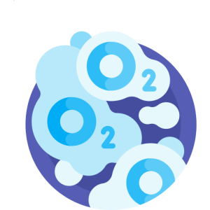 TOEFL Reading Practice Test #36 - Elements of Life