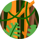 TOEFL Reading Practice Test #38 - Rainforest Soil