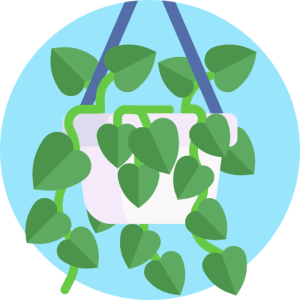 Cambridge IELTS 16 Free Speaking Questions (All 4 Tests)