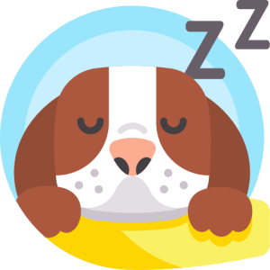 Cambridge IELTS 18 Free Speaking Questions (All 4 Tests)