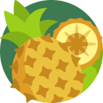 Cambridge IELTS 20 Official Speaking Questions (All 4 Tests)