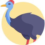 TOEFL Reading Practice Test #51 - Moa as an Example of Human Driven Extinction