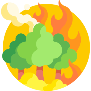 TOEFL Reading Practice Test #52 - Unstoppable Wildfires in the American West