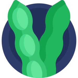 TOEFL Reading Practice Test #53 - Genetic Engineering in Modern Agriculture