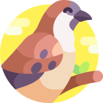 TOEFL Reading Practice Test #55 - The Practice and Problems of Direct Species Translocation