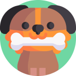 TOEFL Reading Practice Test #58 - The Purpose and Function of Play in Animals