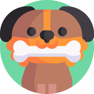 TOEFL Reading Practice Test #58 - The Purpose and Function of Play in Animals