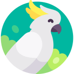 NEW TOEFL 2026 Reading Official Academic Passage 1