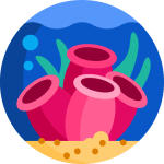 NEW TOEFL 2026 Reading Official Academic Passage 5